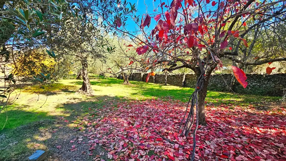 Casa rústica amb jardí en venda a Aracena, imagen 29