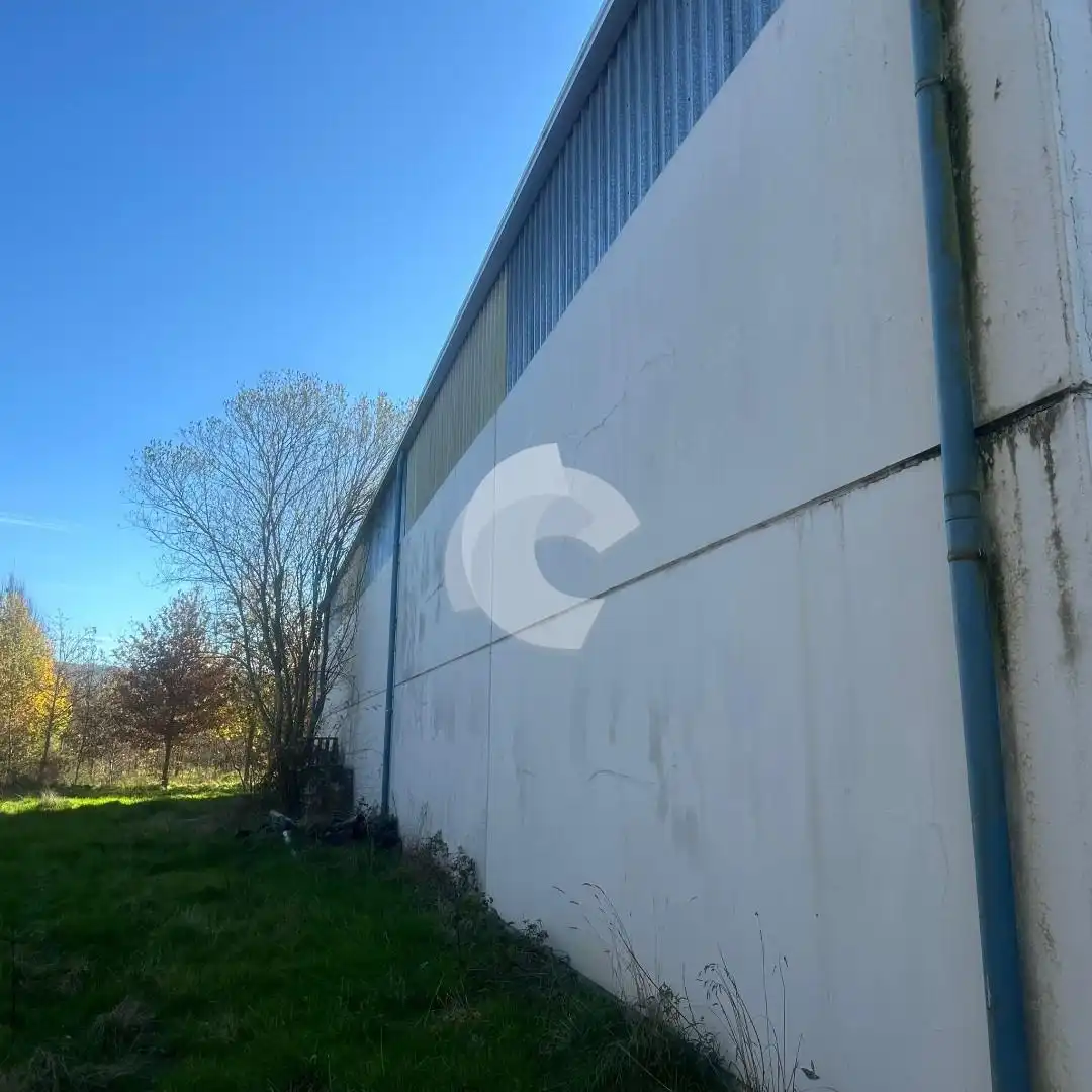 Exterior view of Industrial buildings for sale in Cortegada