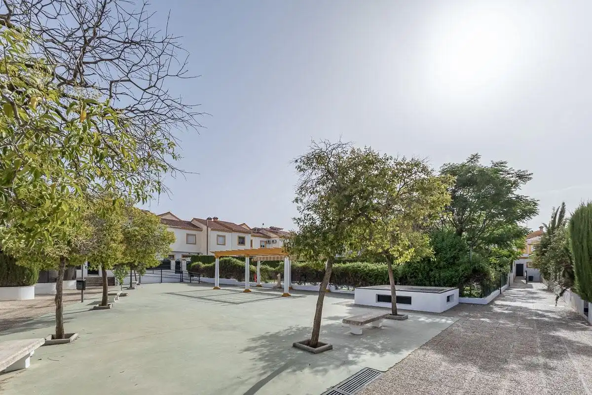 Terrasse von Einfamilien-Reihenhaus zur Miete in Alhendín