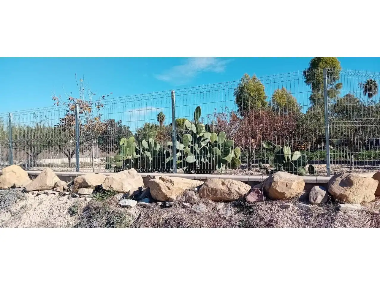 Terreny rústic en venda a Camino Paraje, imagen 6