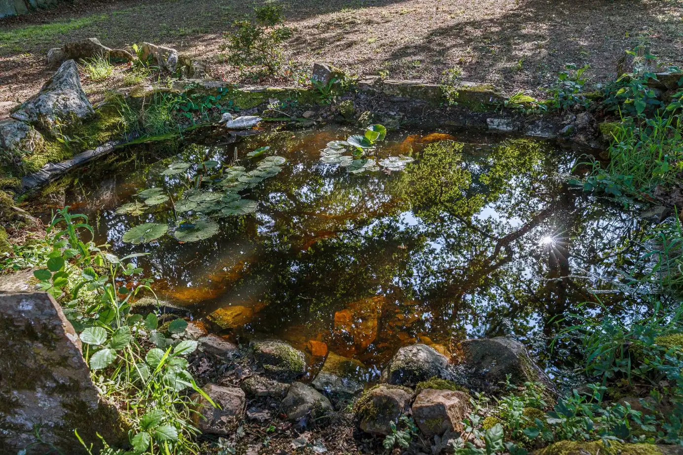 Jardí de Finca rústica en venda en Cospeito