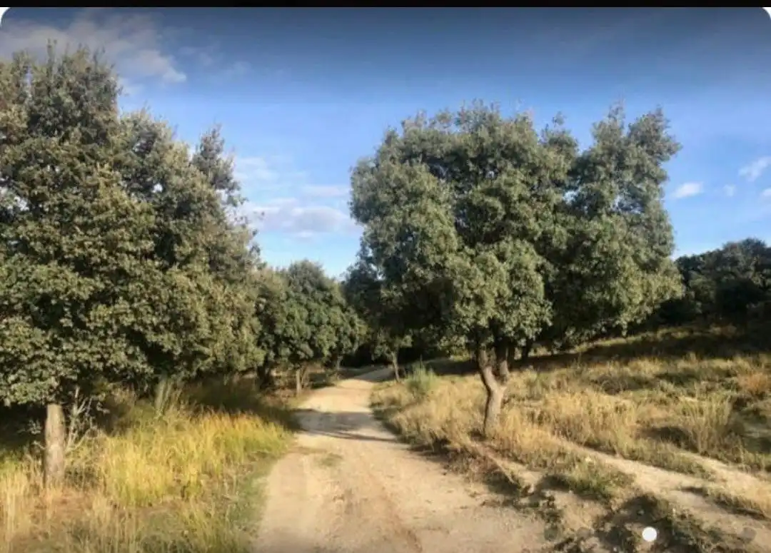 Terreno rustico in vendita a Brunete