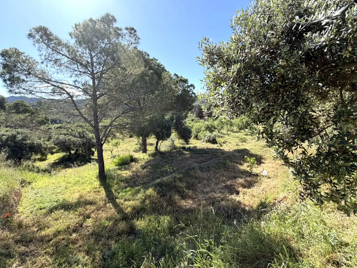 Finca rústica en venda en Ascó amb Aire condicionat, Calefacció i Piscina