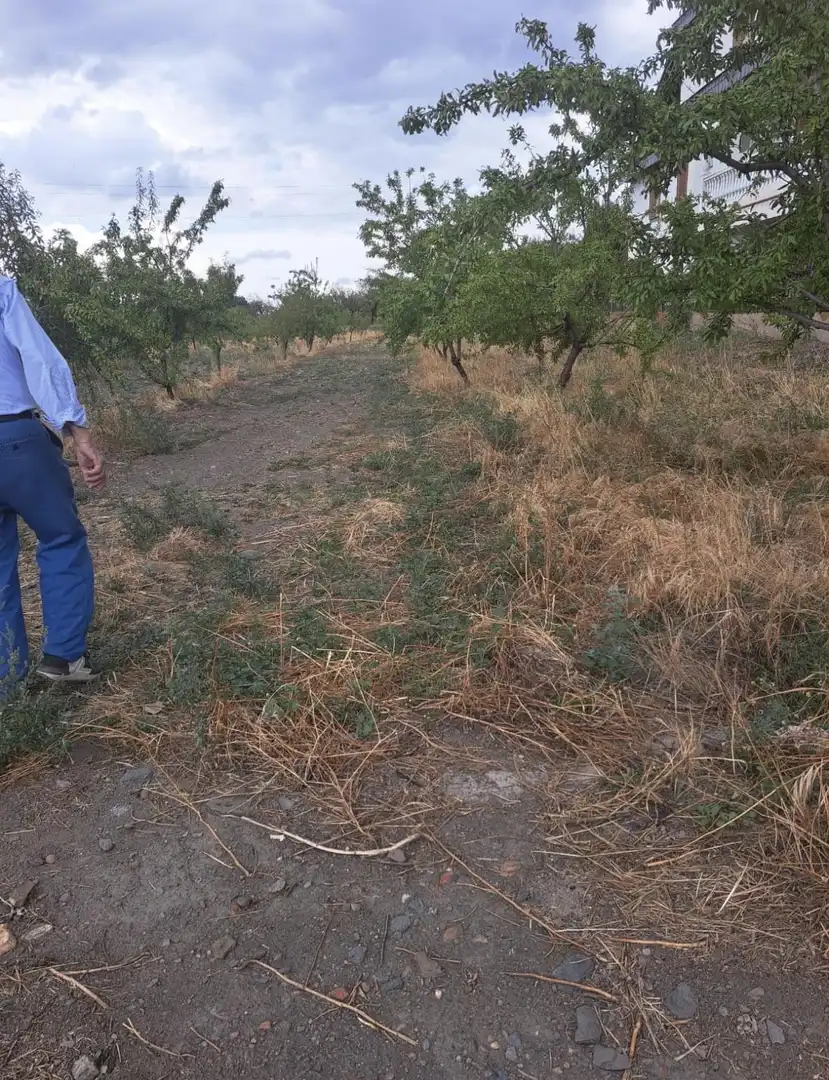 Lands and plots for sale in Lanteira, imagen 5
