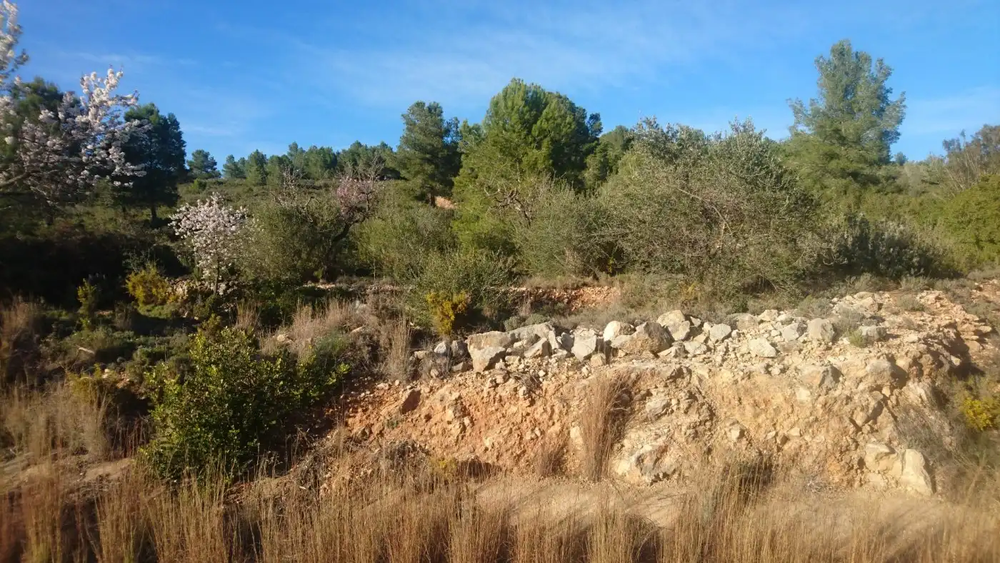 Maison à vendre à Vall d'Alba, imagen 10
