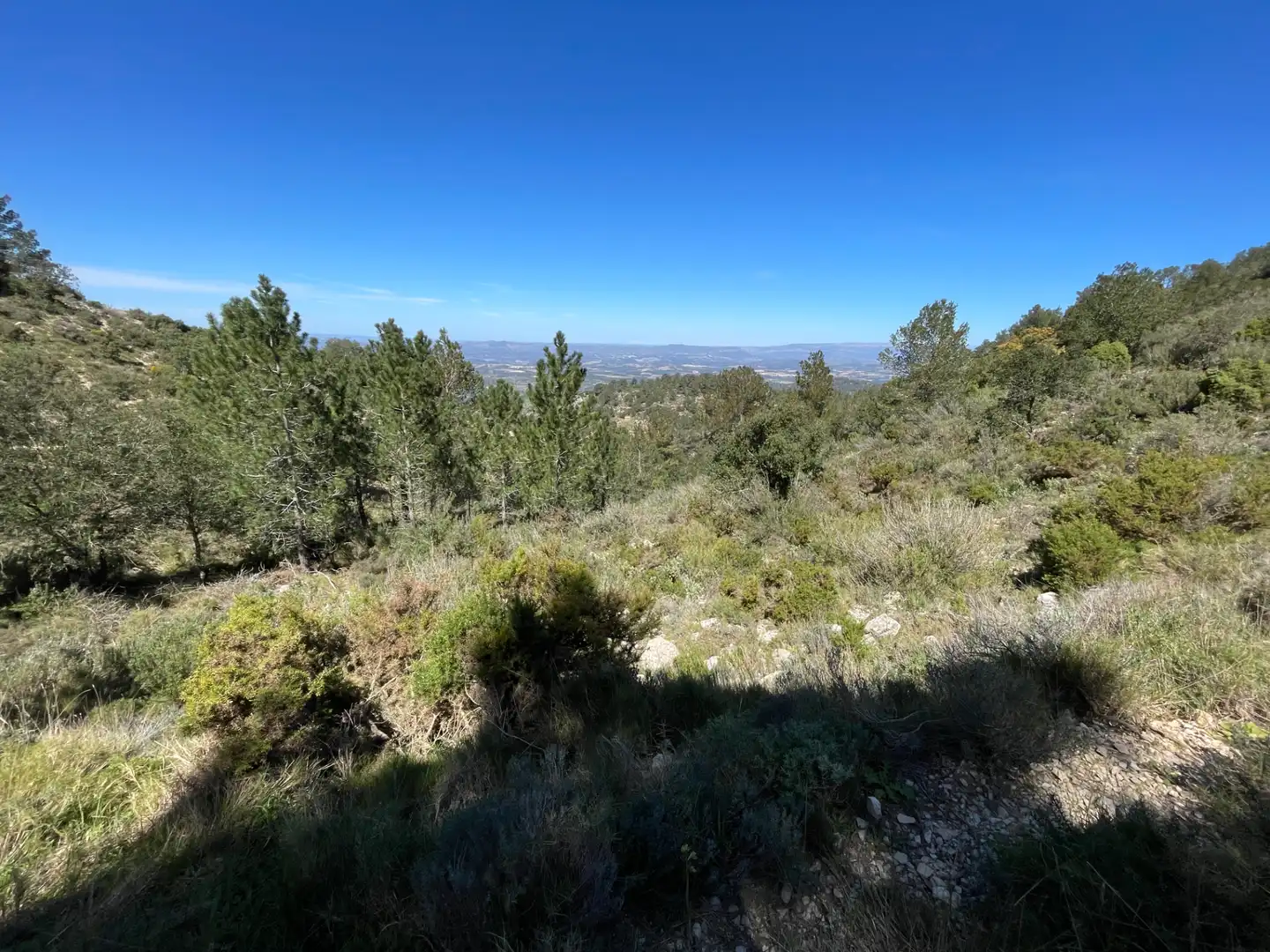 Terrain rustique à vendre à Tivissa, imagen 4