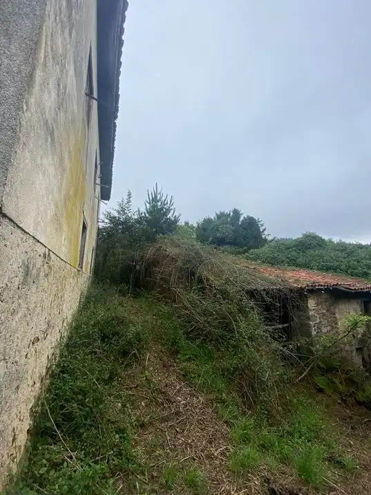 Finca rústica en venta en Salas
