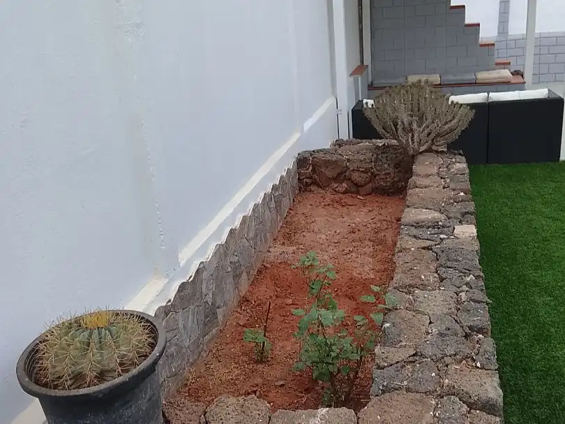 Casa o chalet de alquiler en La Oliva, Las Palmas
