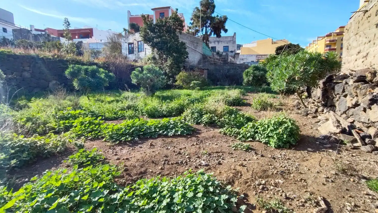 Houses for sale in Icod de los Vinos  with Storage room and Furnished