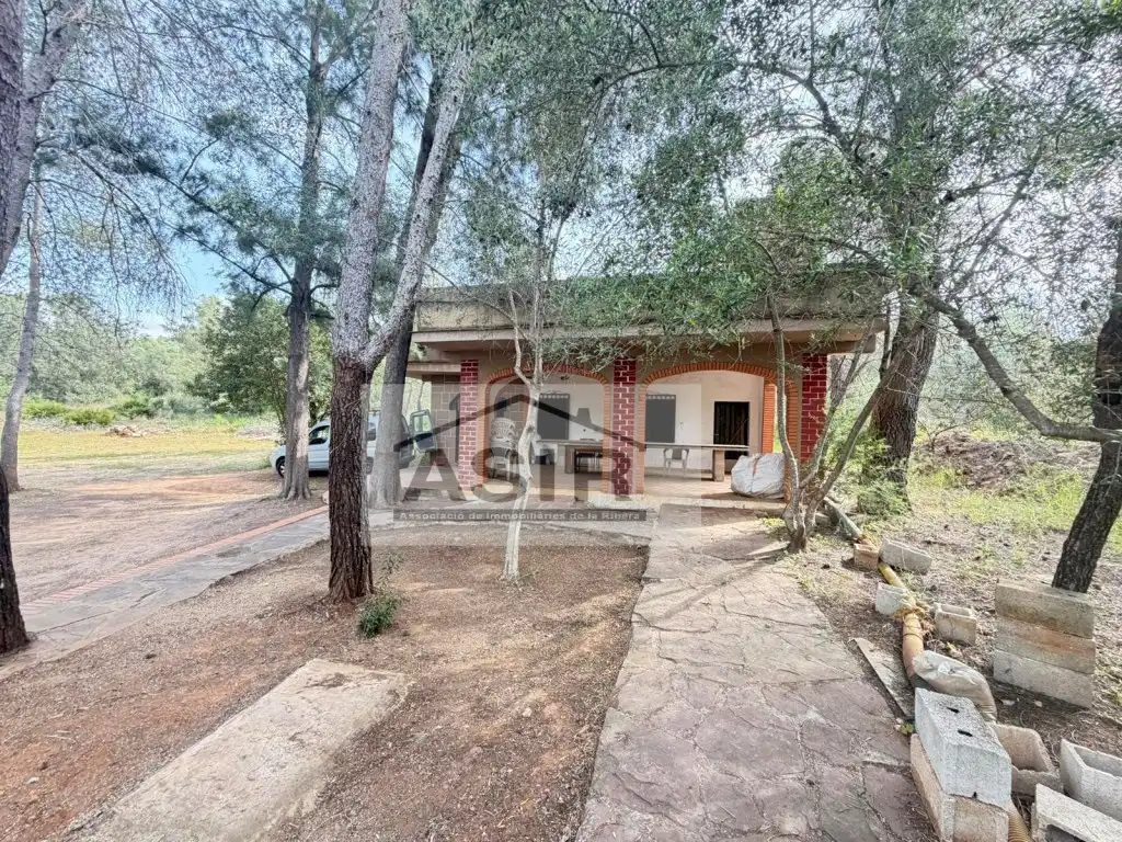 Vista exterior de Casa o chalet en venta en Rafelguaraf con Terraza y Piscina