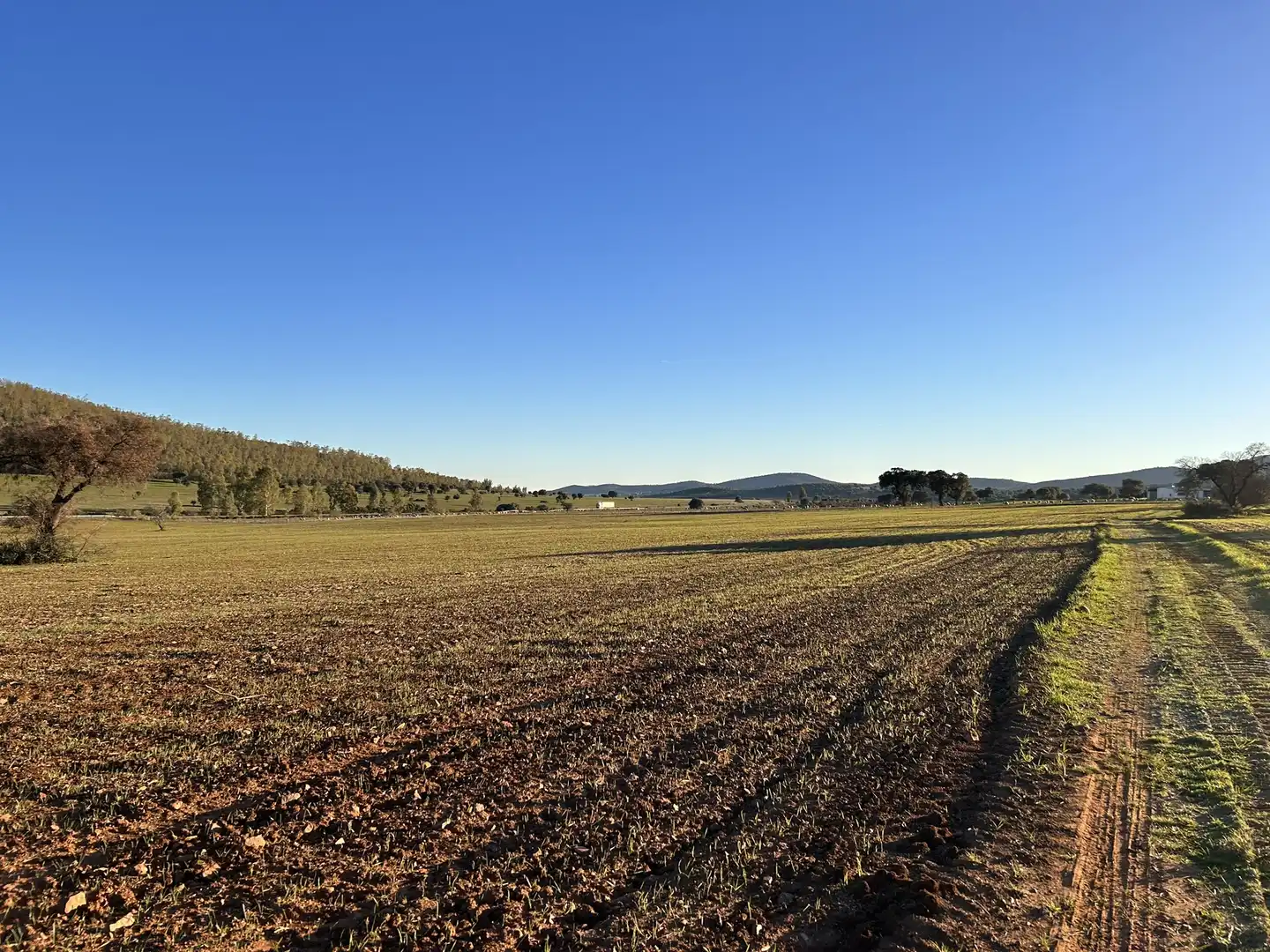 Terreny rústic en venda a Peraleda del Zaucejo, imagen 18