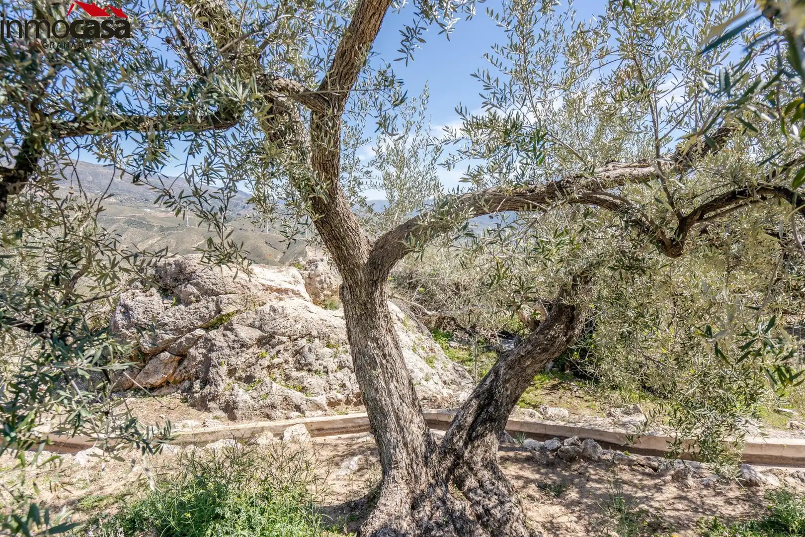 Land for sale in Lúcar