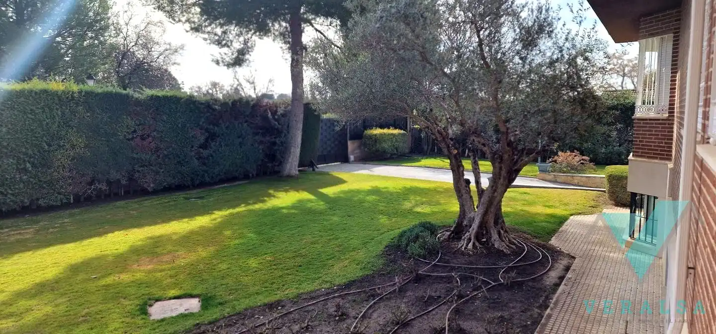 Casa o xalet en venda a Del Bonsái, Prado Norte