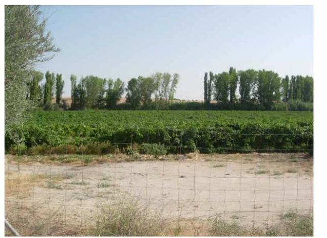 Terreno residencial en Venta en Arcicóllar