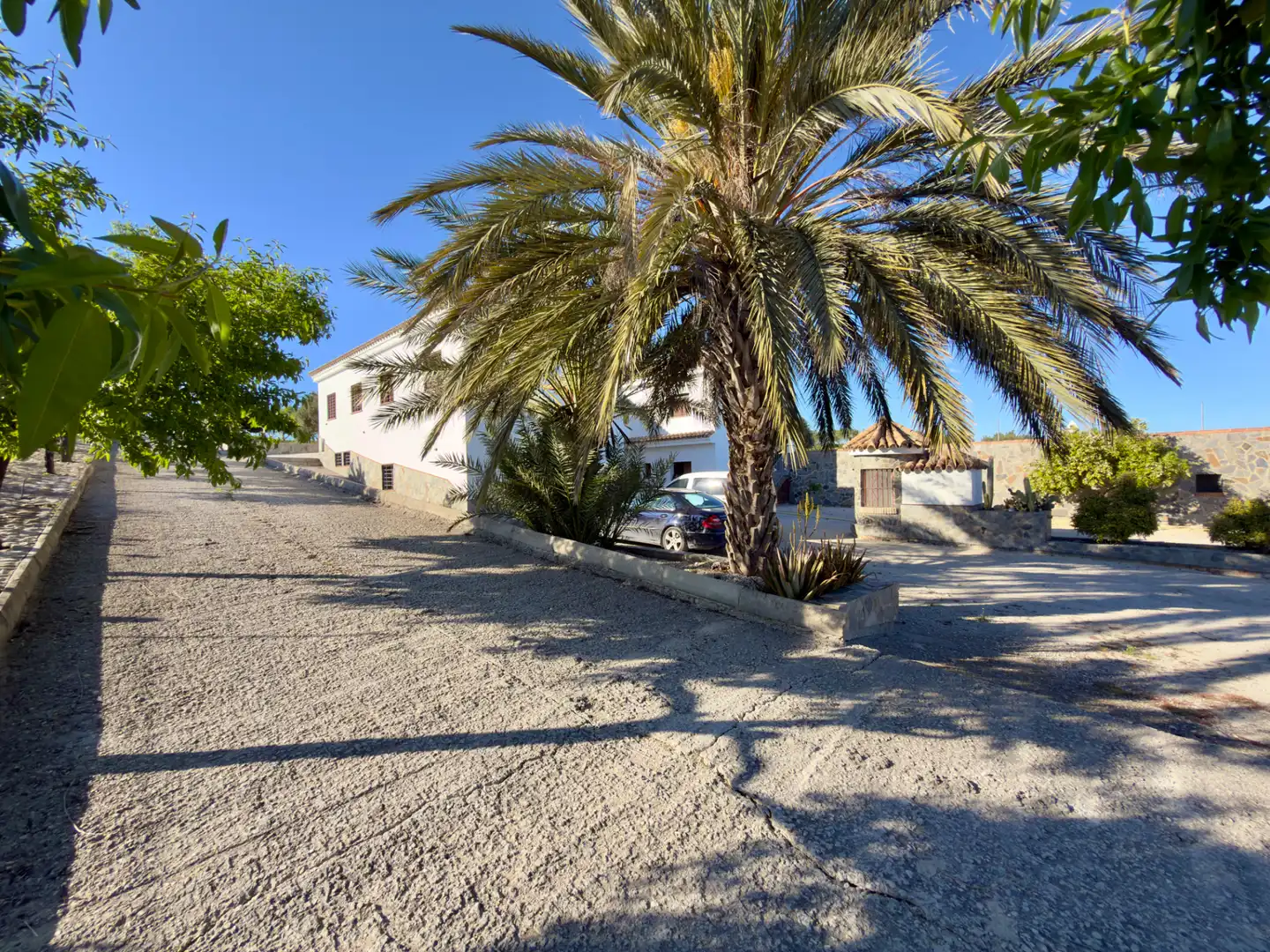 Vista exterior de Finca rústica en venta en Arcos de la Frontera con Aire acondicionado, Calefacción y Jardín privado