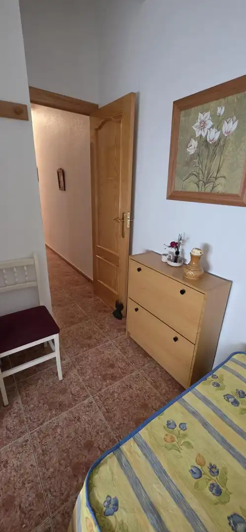 Apartments for rent in Centro