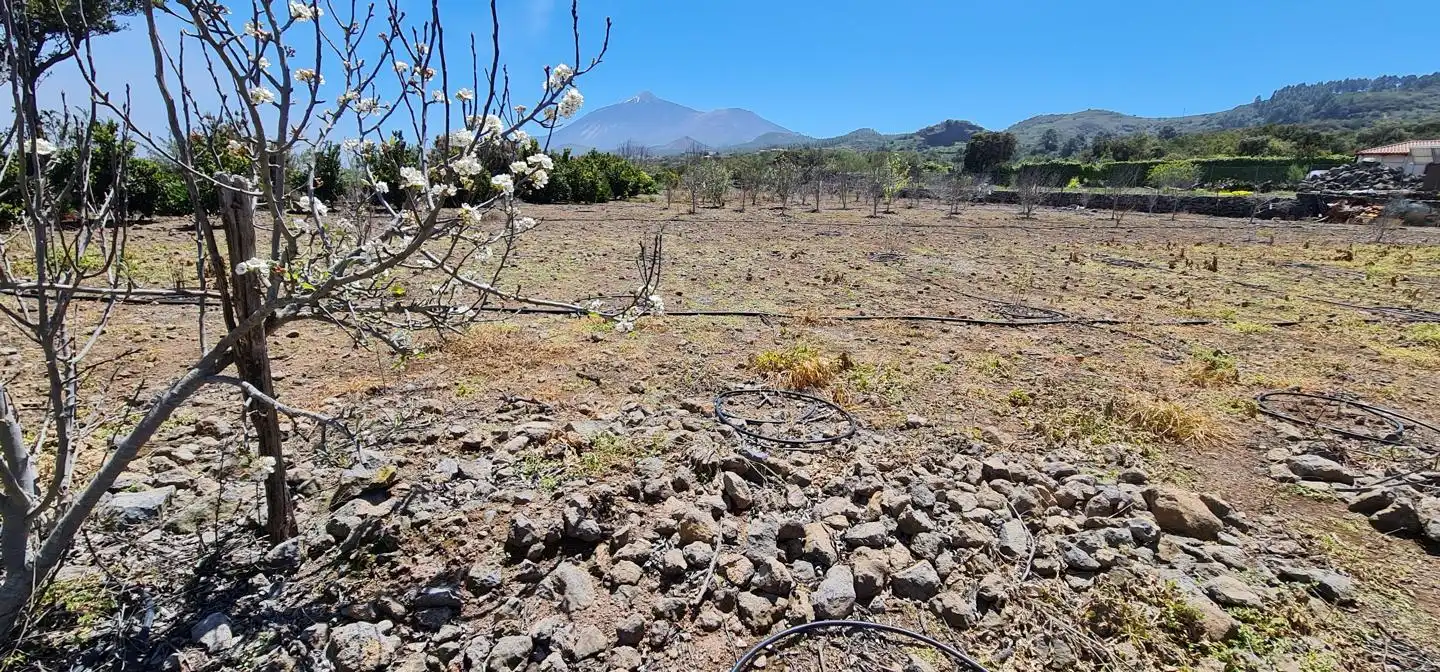 Casa rústica con jardín en venta en Garachico, imagen 3