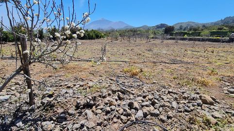 Foto 3 de Finca rústica en venta en Garachico, Santa Cruz de Tenerife