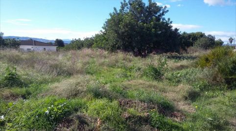 Terreno urbano en la urbanización de la Malla, la parcela consta de unos 4.722m2, parcela esquinera rectangular, gracias al desniv, imatge 2