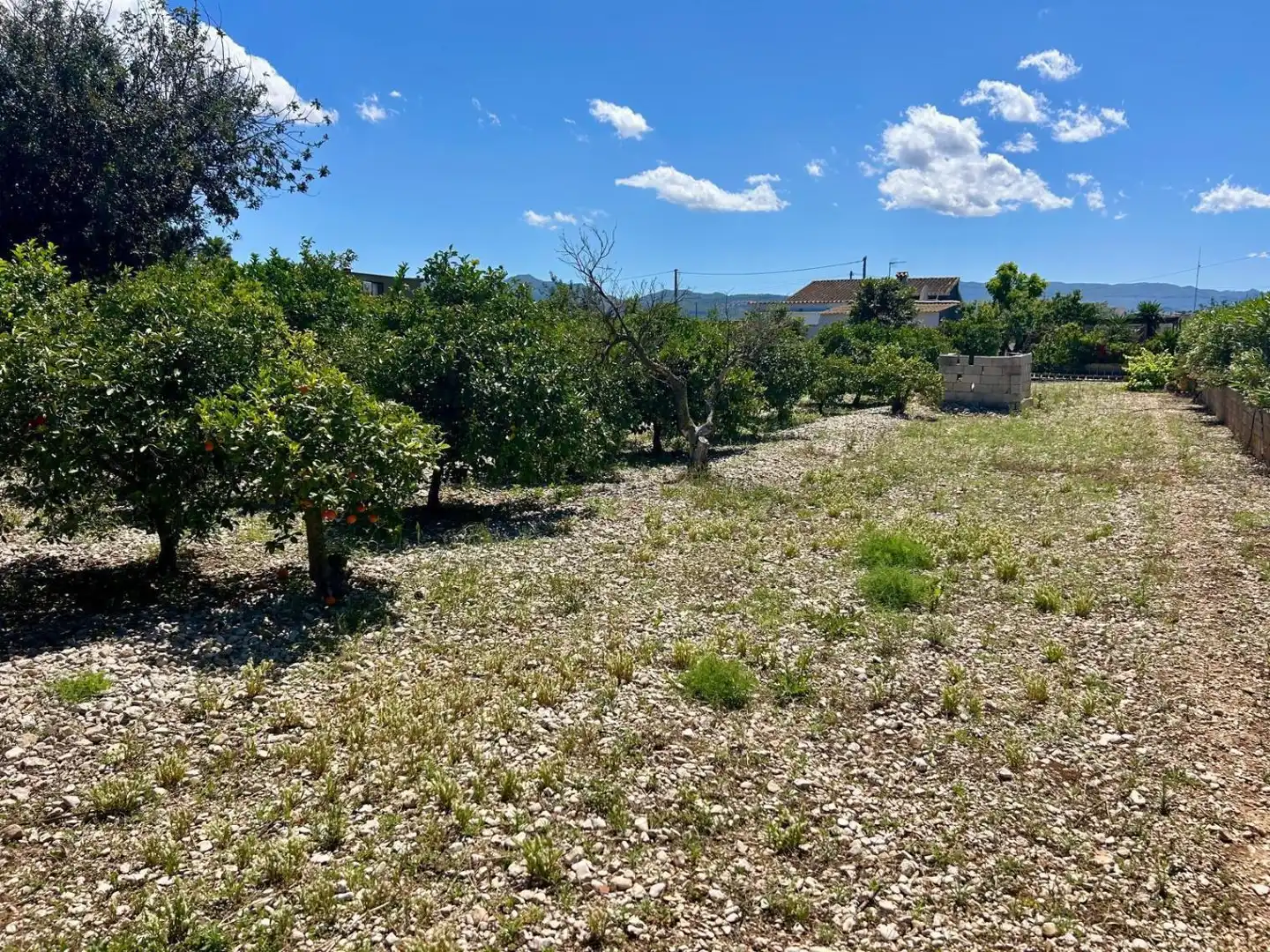 Casa rústica con jardín en venta en El Verger, imagen 41