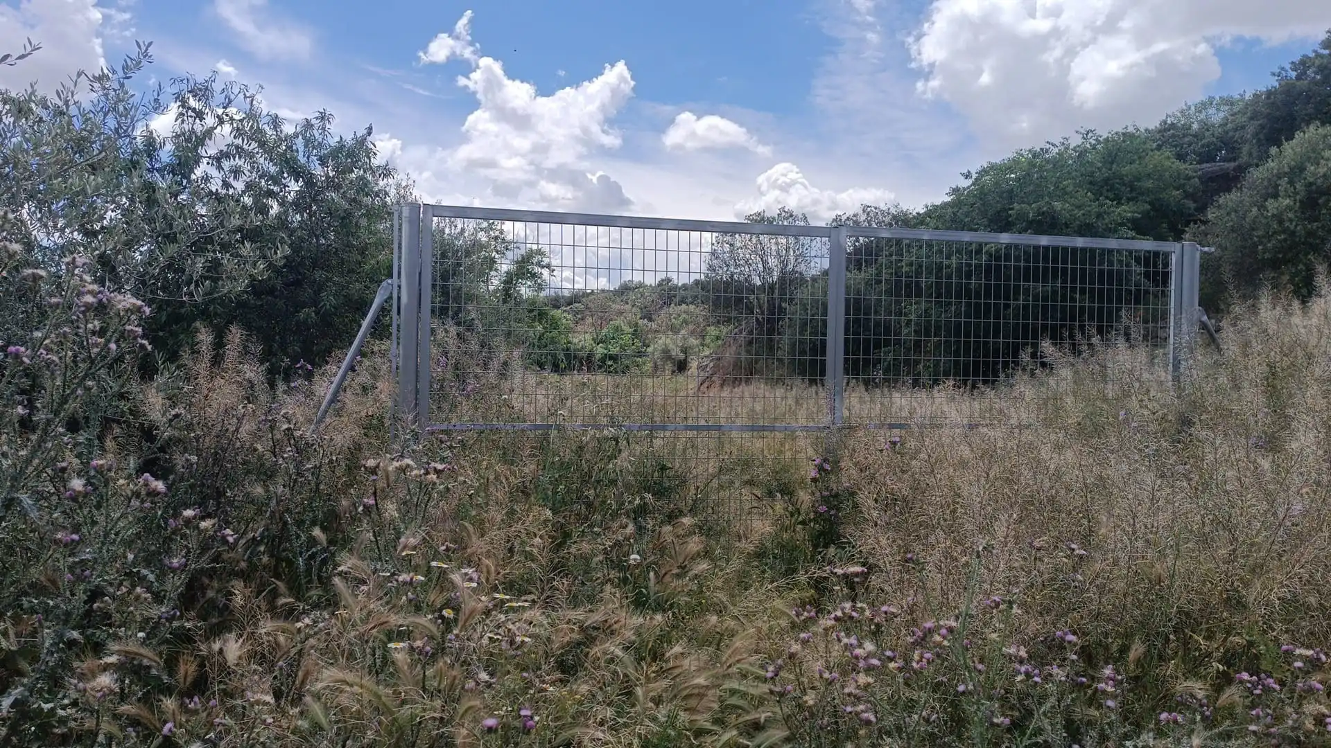 Terreni e lotti in vendita a Almunia de San Juan