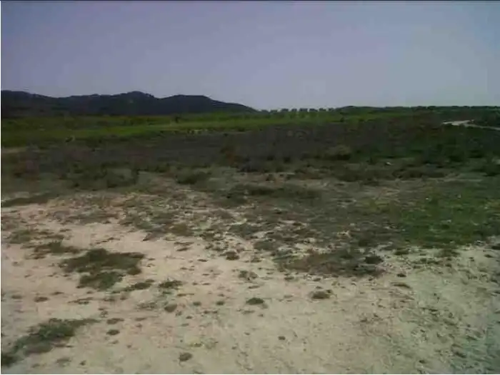 Terreny rústic en venda a Caravaca de la Cruz, imagen 3