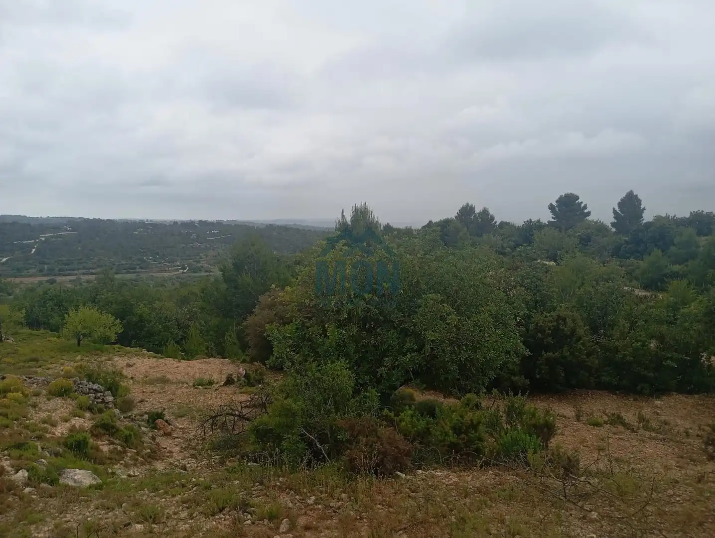 Terreno rustico in vendita a Buñol, imagen 13