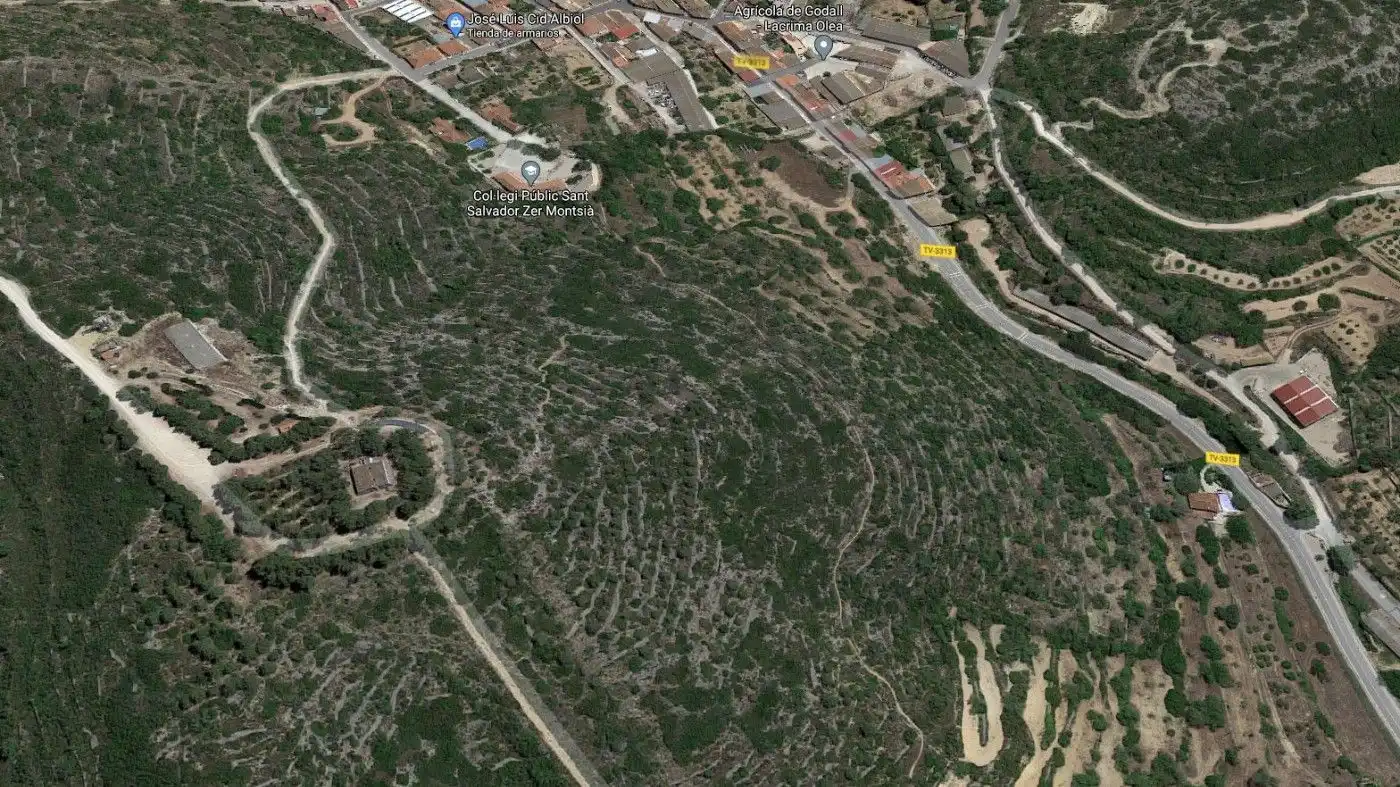 Rural land for sale in Godall, imagen 3