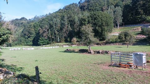 En San Juan de Raicedo, bonita localidad situada en el Valle de Iguña, tenemos para la venta esta finca rústica..de unos 5350 m. L