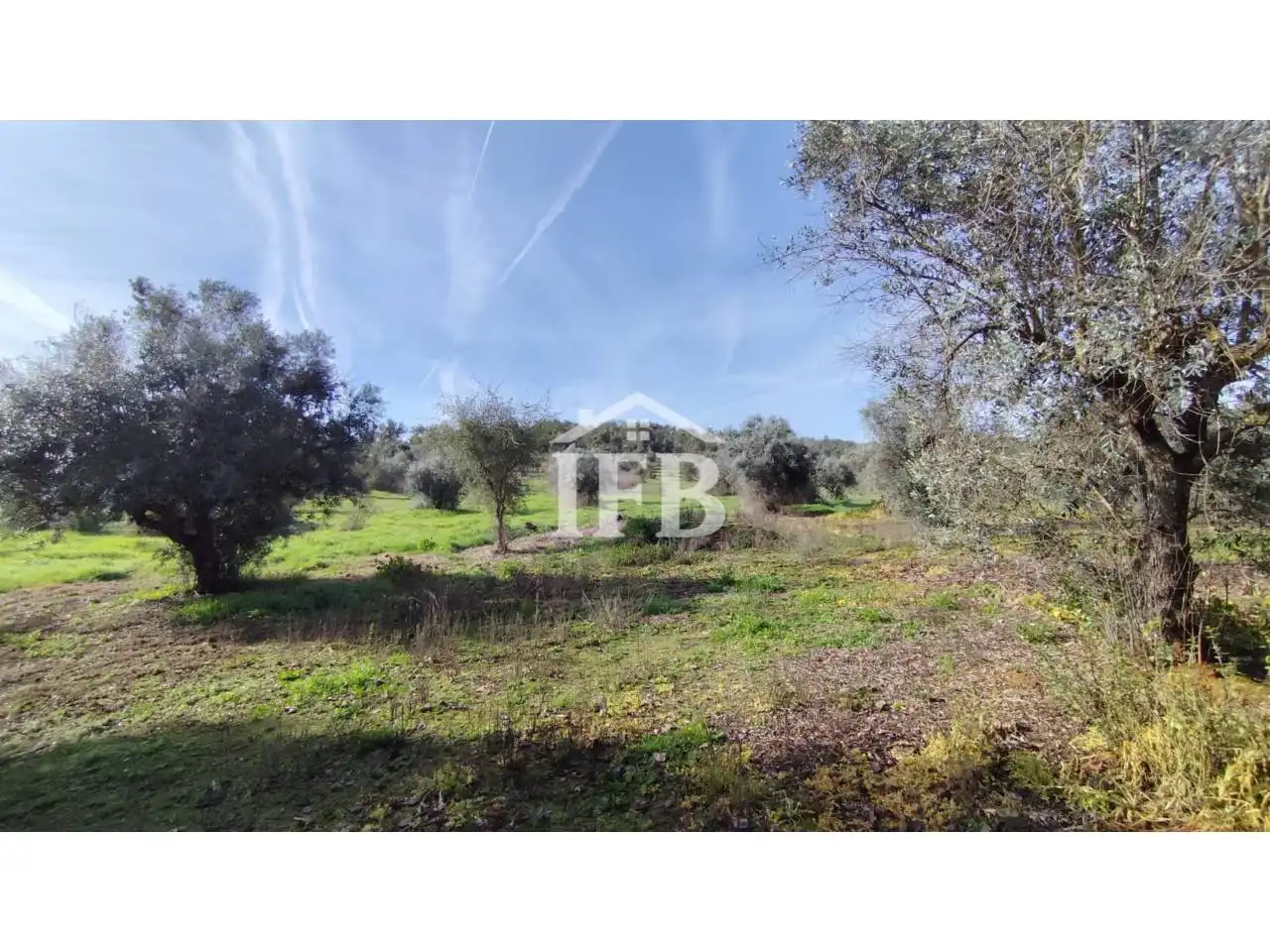 Terreno en venta en La Codosera