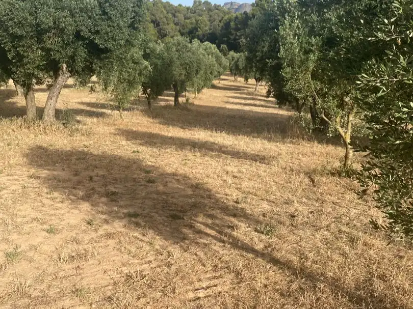 Rural land for sale in disseminat s/n, imagen 2