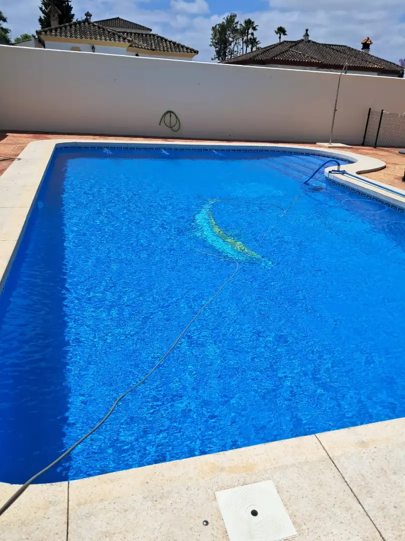 Xalet amb piscina en venda a Arcos de la Frontera, imagen 4