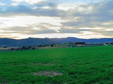 Terreny residencial en venda a Mas Mora - Sant Daniel