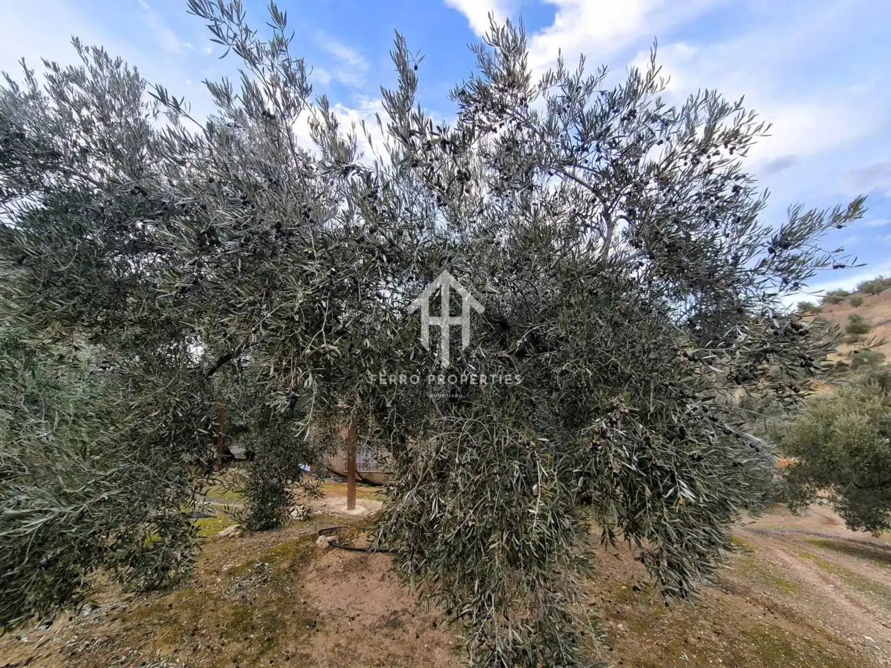 Terreni e lotti in vendita a Huétor Tájar, imagen 22