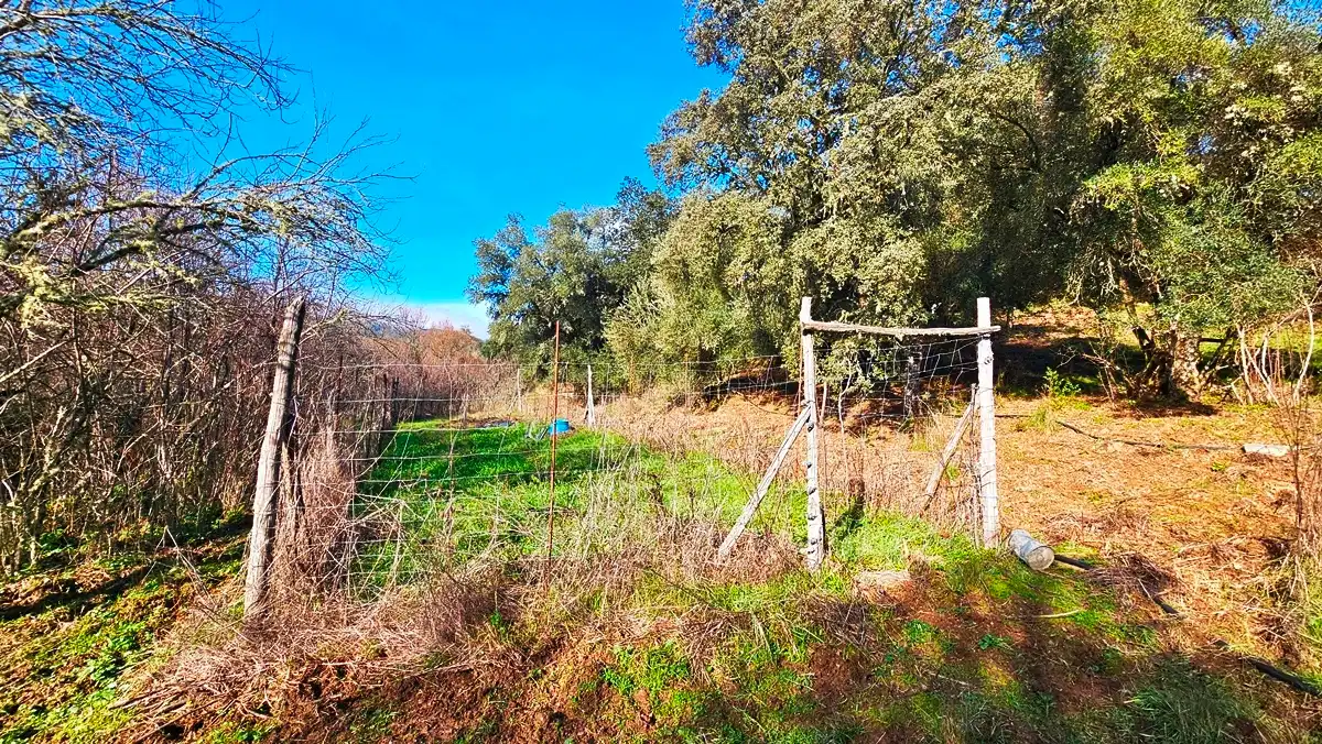 Casa o xalet en venda en Los Marines amb Jardí privat, Terrassa i Traster