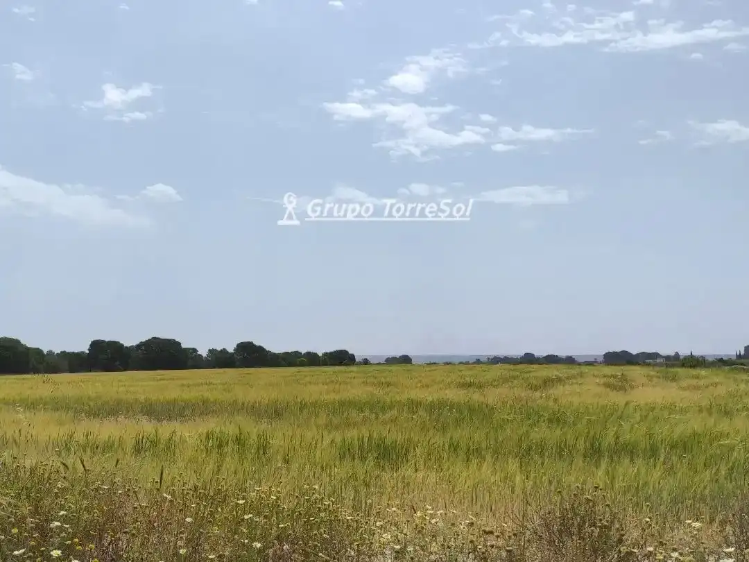 Terreno en venta en Elche / Elx