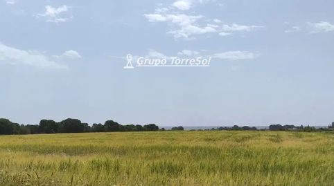 Foto 3 de Terreno en venta en Valverde, Centro, Elche / Elx
