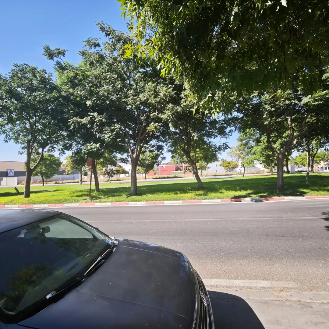Local comercial en venta en Centro, imagen 8