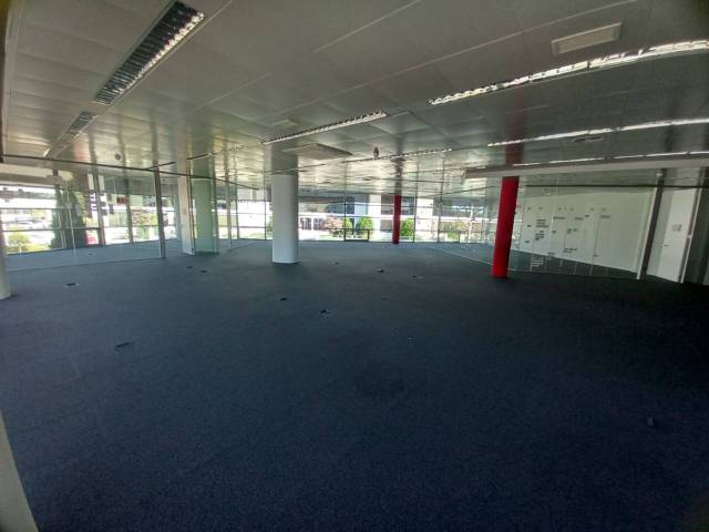 Oficina en Alquiler en musgo en La Florida -  El  Plantío