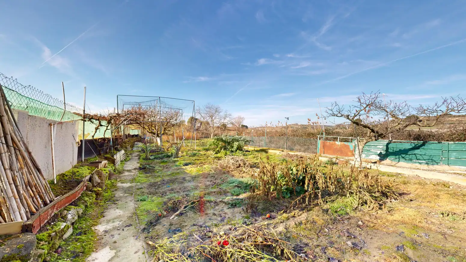 Rural land for sale in Tafalla - TERMINO JUNCAL, imagen 2