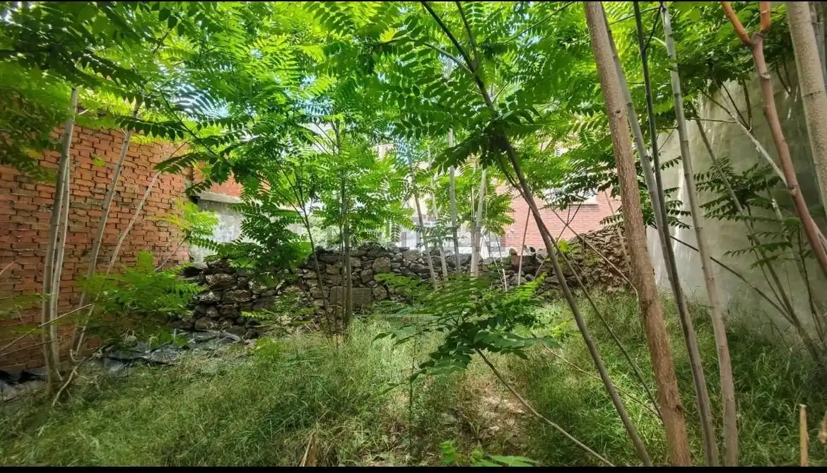 Terrenos y solares en venta en Robledo de Chavela, imagen 2