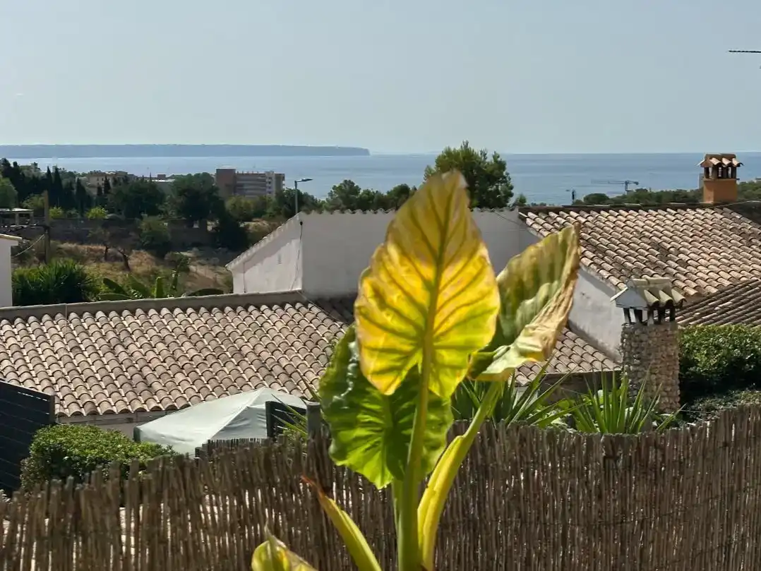 Exterior view of Houses for sale in  Palma de Mallorca  with Air Conditioner, Terrace and Balcony