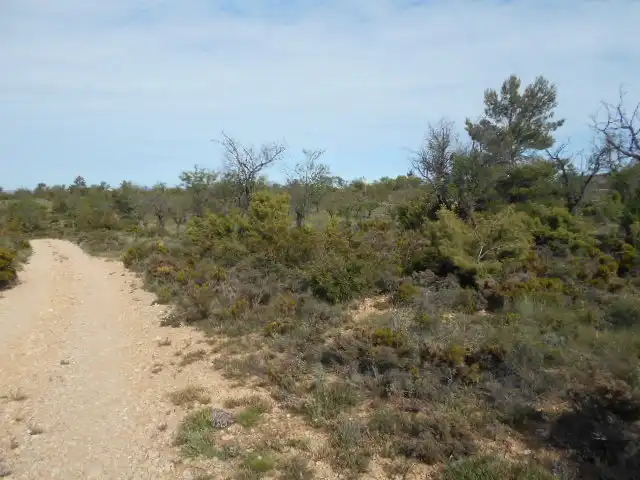 Rustikales Grundstück zum Verkauf in Ptda El Mirador - Paraje Casa Nueva -, imagen 5