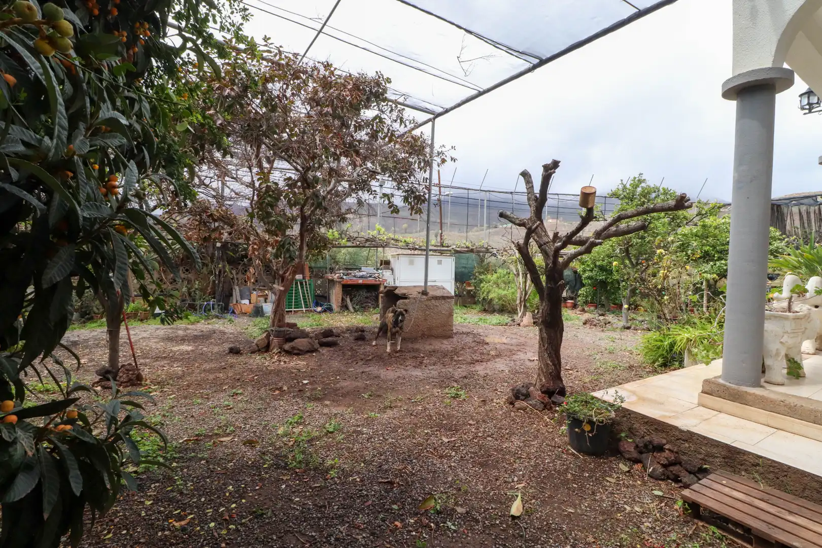 Casa o xalet en venda a Santa Lucía de Tirajana interior