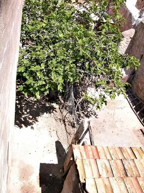Casa con piscina en venta en Partidas de Alicante, imagen 51
