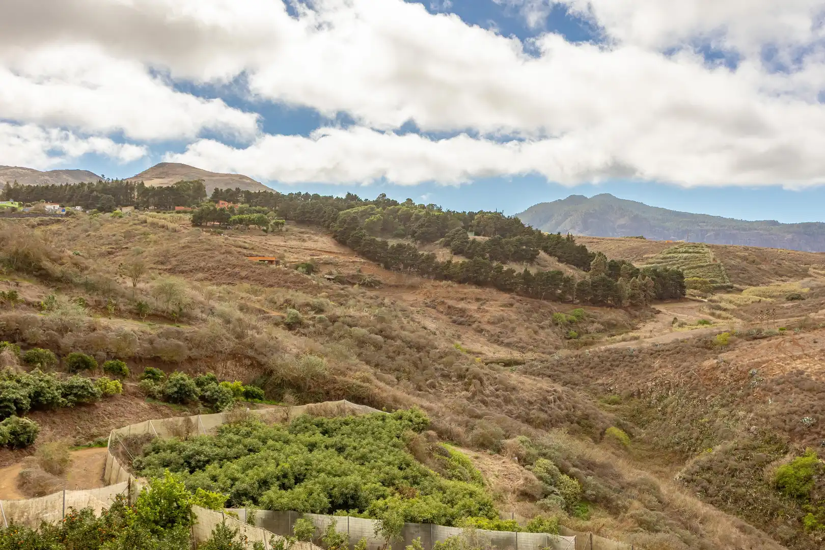 Residencial en venta en Lugar Lomo del Poleo, Saucillo - Fagajesto - Juncalillo