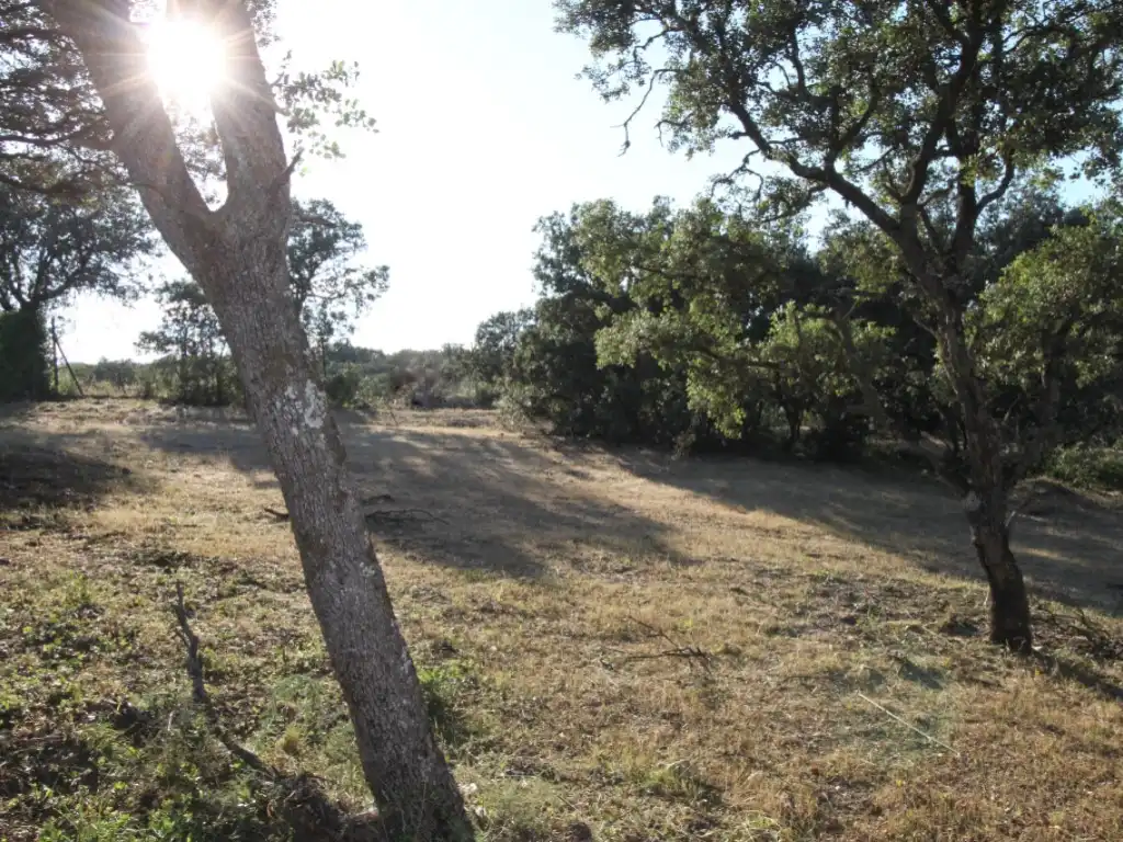 Residential land for sale in Ciudalcampo, imagen 13
