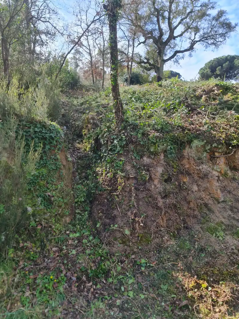 Terrenys i solars en venda a Maçanet de la Selva pueblo, imagen 3
