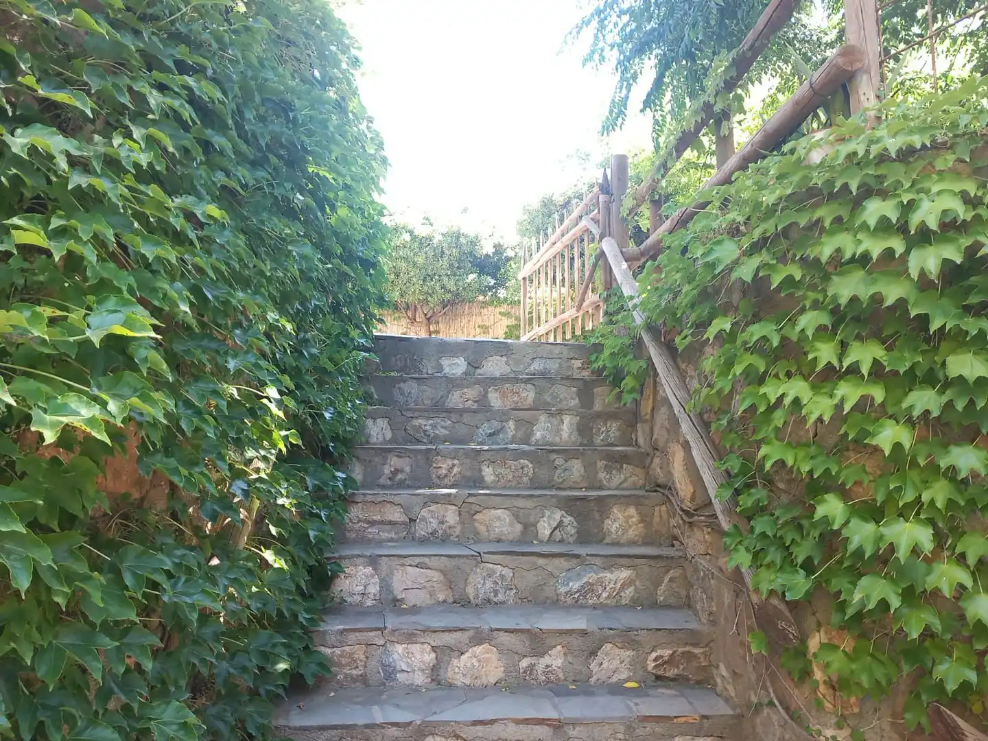 Jardí de Casa o xalet de lloguer en Órgiva amb Terrassa
