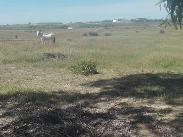 Casa rústica en venda a Camino hinojos